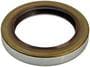 Precision Multi-Purpose Grease/Oil Seal