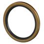 Precision Multi-Purpose Grease/Oil Seal