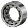 Precision Differential Pinion Pilot Bearing