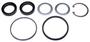 Precision Power Steering Steering Gear Pitman Shaft Seal Kit