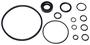 Precision Power Steering P/S Pump Seal Kit