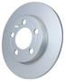 PAGID Rear Brake Rotor
