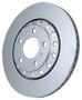 PAGID Rear Brake Rotor