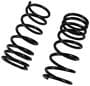 Precision Coil Spring Set