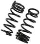 Precision Coil Spring Set