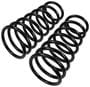 Precision Coil Spring Set