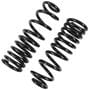 Precision Coil Spring Set