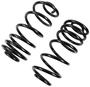 Precision Coil Spring Set