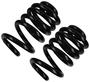 Precision Coil Spring Set