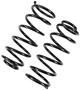Precision Coil Spring Set