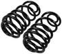 Precision Coil Spring Set