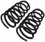 Precision Coil Spring Set