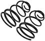 Precision Coil Spring Set
