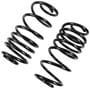 Precision Coil Spring Set