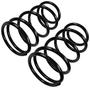 Precision Coil Spring Set