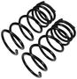Precision Coil Spring Set