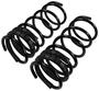 Precision Coil Spring Set