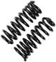 Precision Coil Spring Set