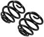 Precision Coil Spring Set