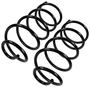 Precision Coil Spring Set