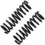 Precision Coil Spring Set
