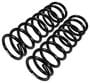 Precision Coil Spring Set