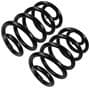 Precision Coil Spring Set
