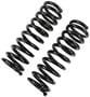 Precision Coil Spring Set
