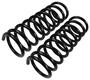 Precision Coil Spring Set
