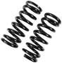 Precision Coil Spring Set