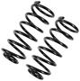 Precision Coil Spring Set