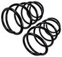Precision Coil Spring Set