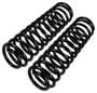 Precision Coil Spring Set