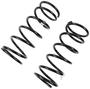 Precision Coil Spring Set