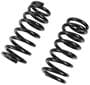 Precision Coil Spring Set