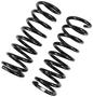 Precision Coil Spring Set