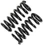 Precision Coil Spring Set