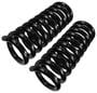 Precision Coil Spring Set