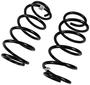 Precision Coil Spring Set