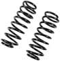 Precision Coil Spring Set