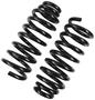 Precision Coil Spring Set