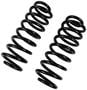 Precision Coil Spring Set