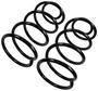 Precision Coil Spring Set