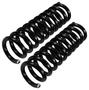 Precision Coil Spring Set
