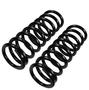 Precision Coil Spring Set
