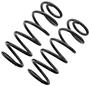 Precision Coil Spring Set