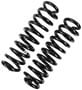 Precision Coil Spring Set