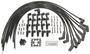 Standard Ignition Blue Streak Wire Spark Plug Wire Set
