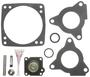 Standard Ignition Throttle Body Injection Tune-Up Kit