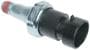 Standard Ignition 1 Terminal Oil Pressure Switch